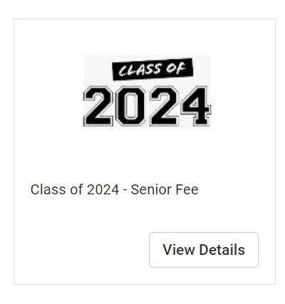 Class of 2024 button